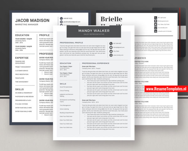 Professional CV Resume Templates MS Word Design