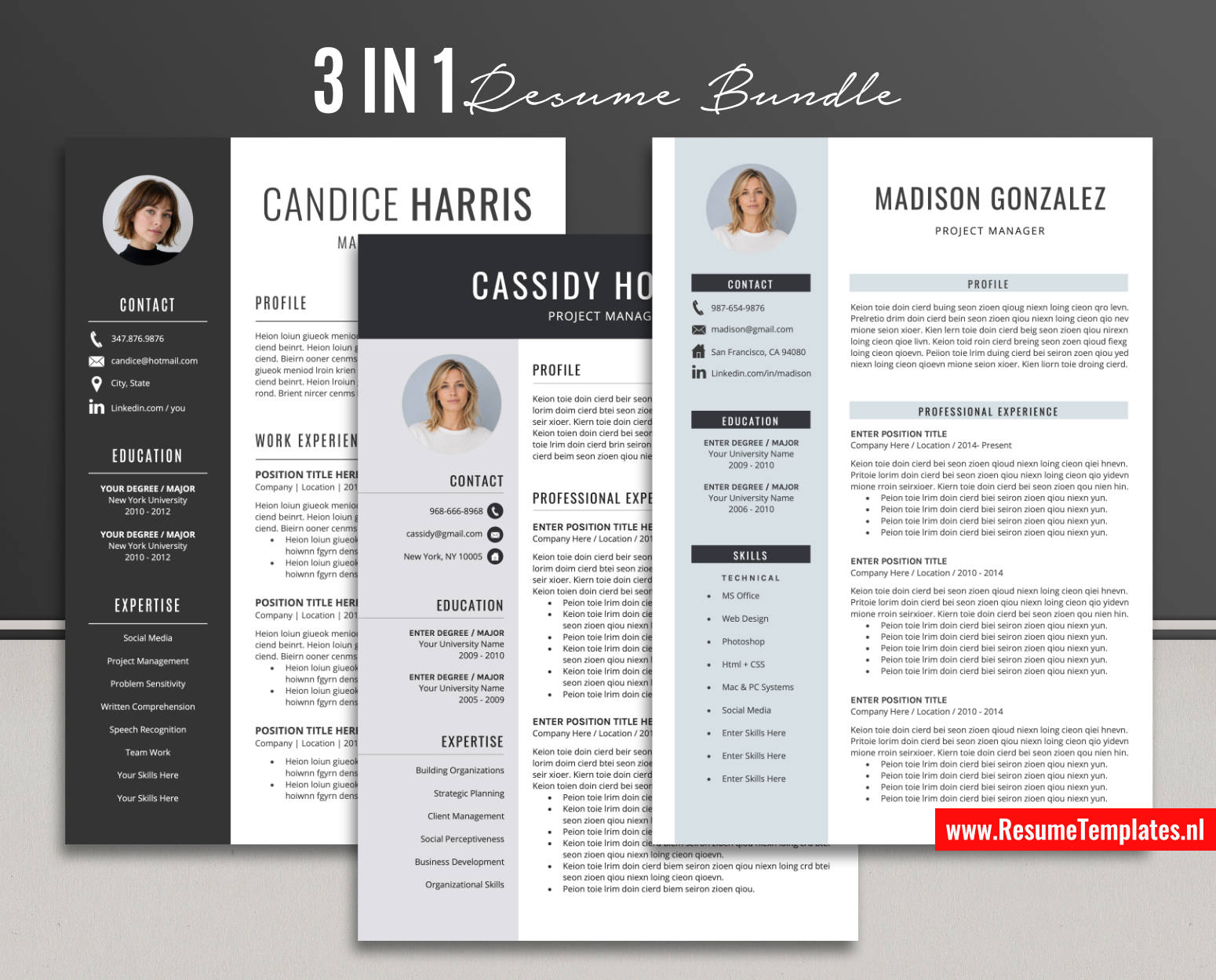 www.ResumeTemplates.nl-reusme template for ms word images