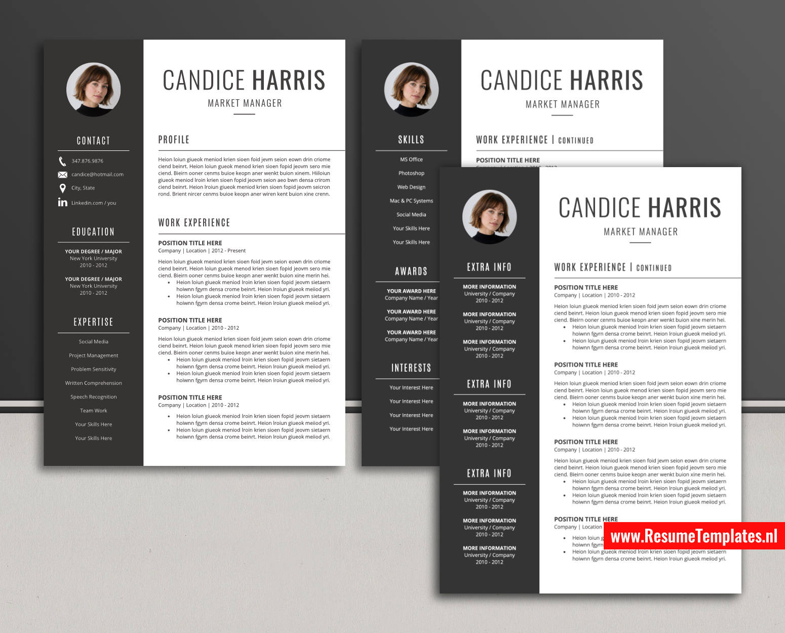 www.ResumeTemplates.nl-reusme template for ms word images